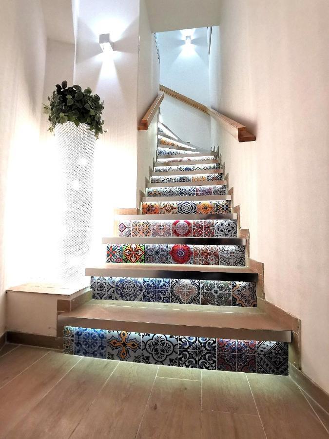 Betta Splendens Appartement